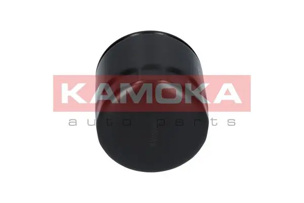 Oil Filter F101701