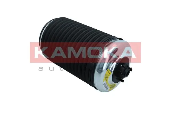 Air Spring, suspension 2079004
