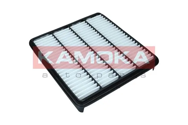 Air Filter F241101