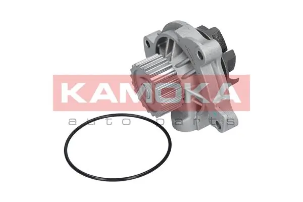 Water Pump, engine cooling T0042
