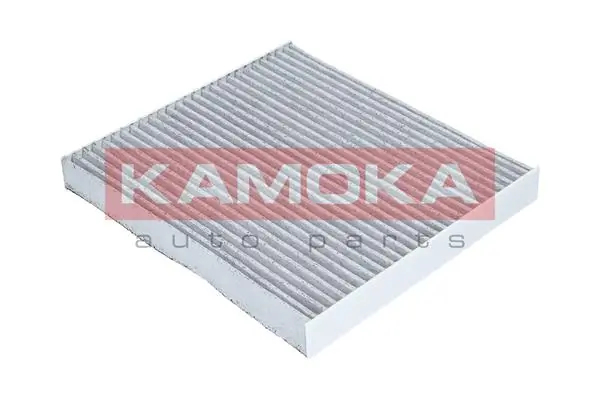Filter, cabin air F505401