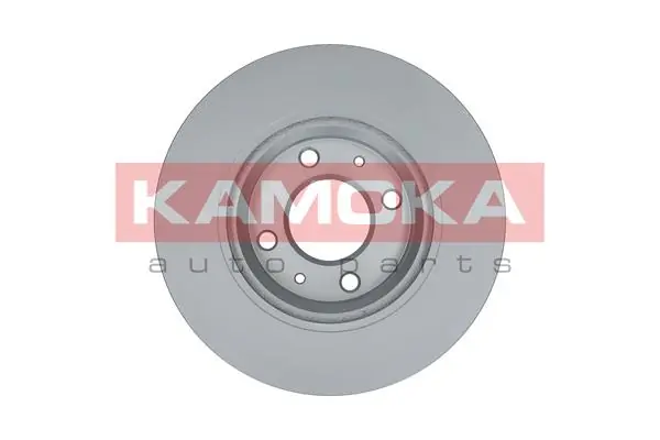 Brake Disc 1032082