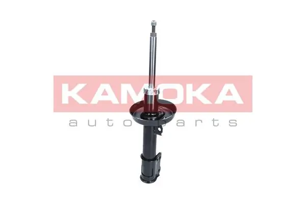 Shock Absorber 2000297