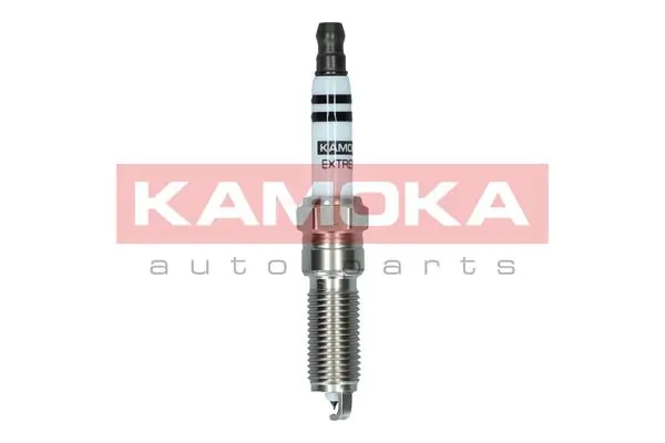 Spark Plug 7100062