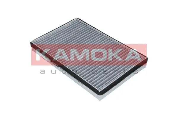 Filter, cabin air F505101