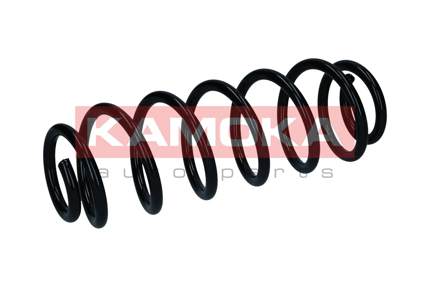 Suspension Spring 2120604