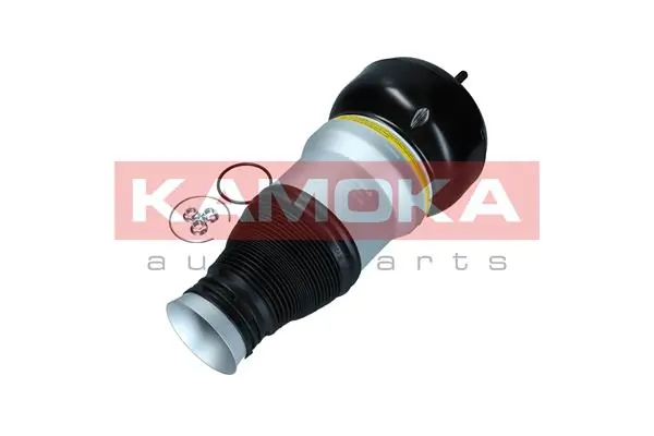 Air Spring, suspension 2079055