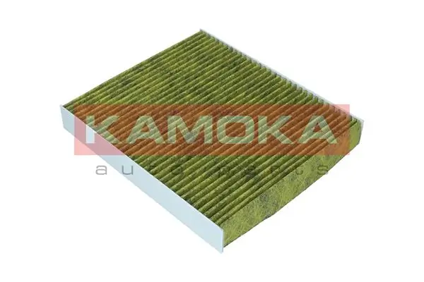 Filter, cabin air 6080070