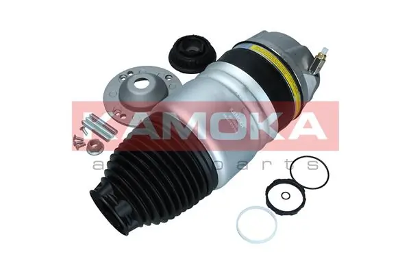 Air Spring, suspension 2079059