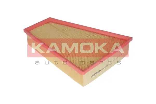 Air Filter F234301