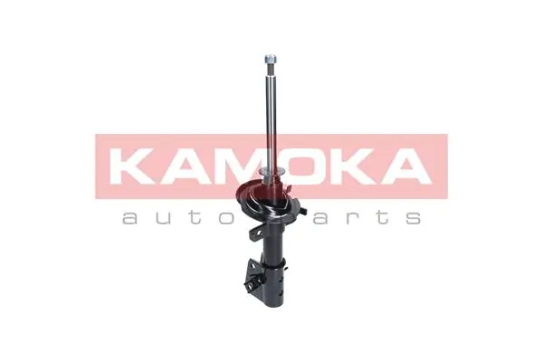 Shock Absorber 2001057