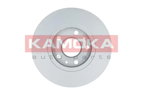 Brake Disc 1031062
