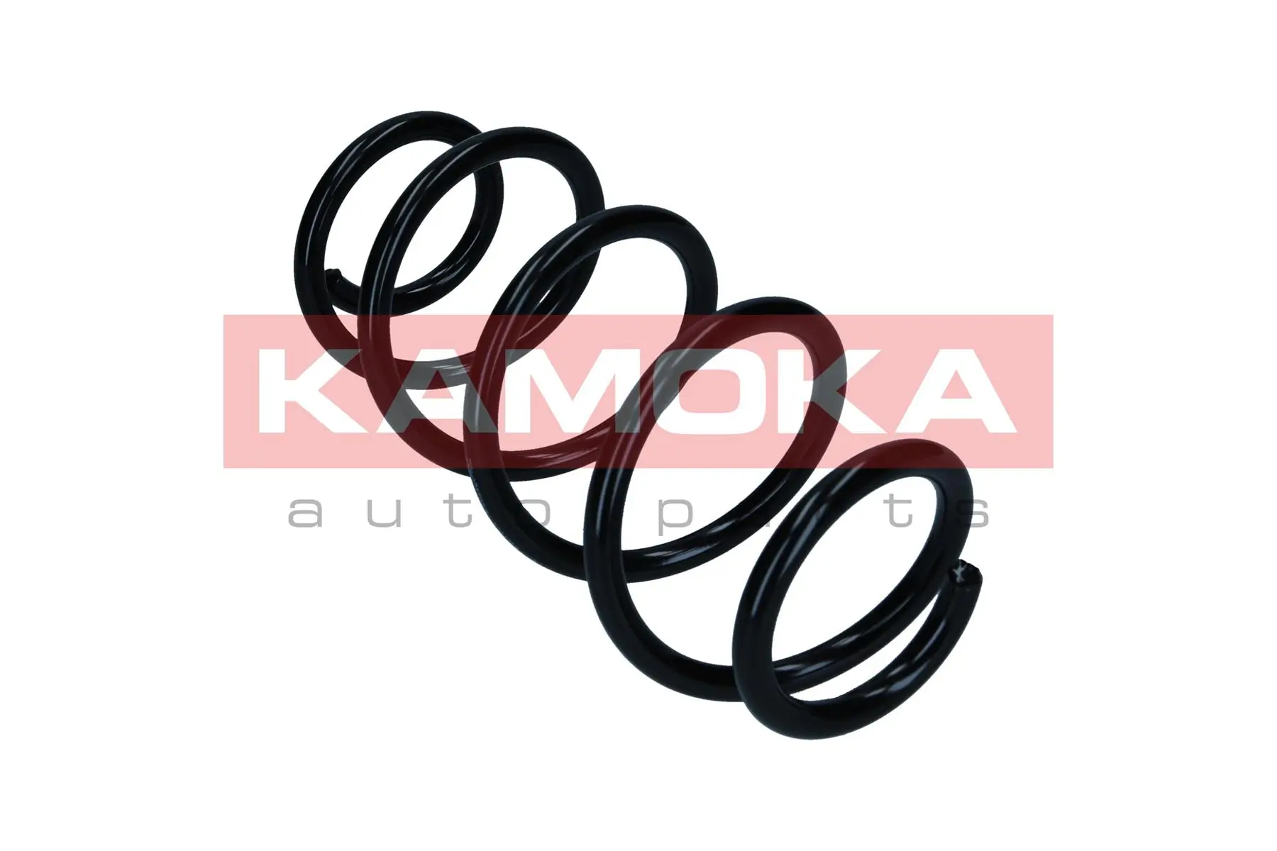 Suspension Spring 2120651