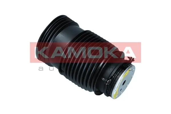 Air Spring, suspension 2079048