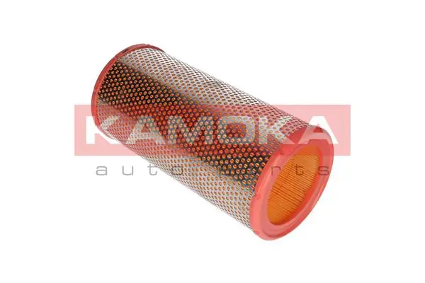 Air Filter F246801