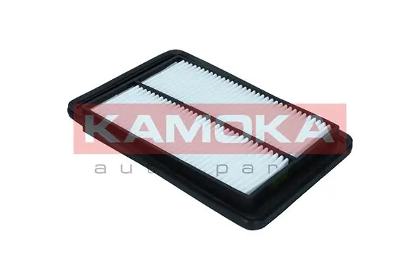 Air Filter F257501