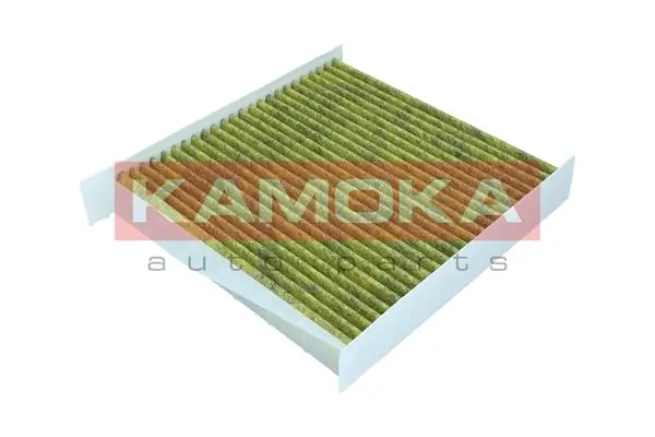 Filter, cabin air 6080020