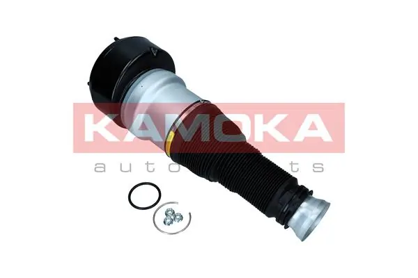 Air Spring, suspension 2079039