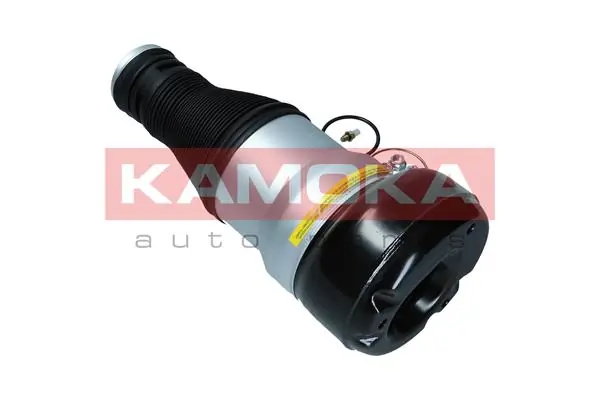 Air Spring, suspension 2079058