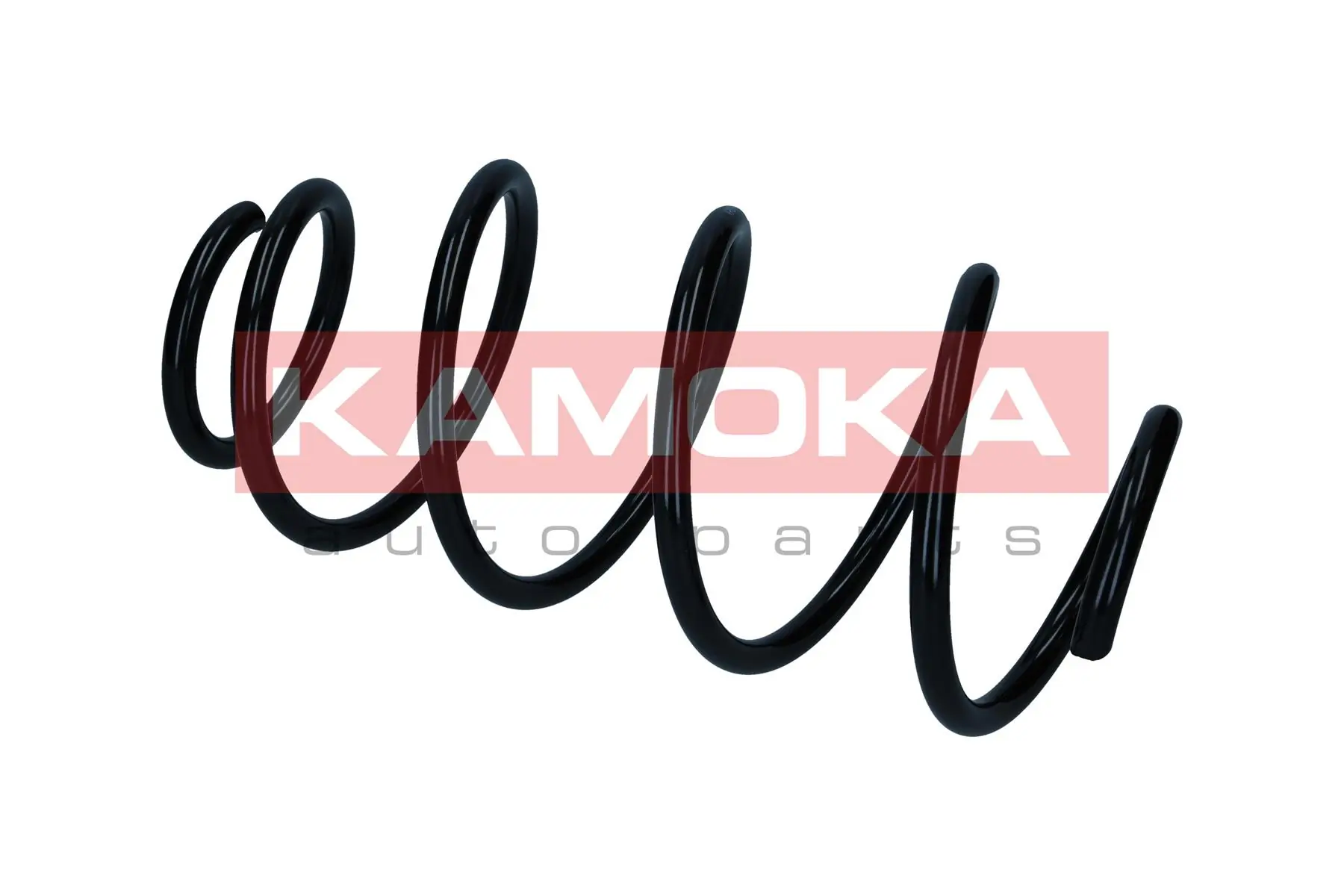 Suspension Spring 2110508