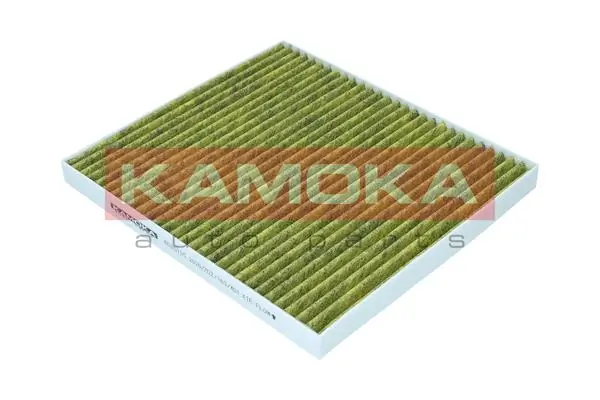 Filter, cabin air 6080135