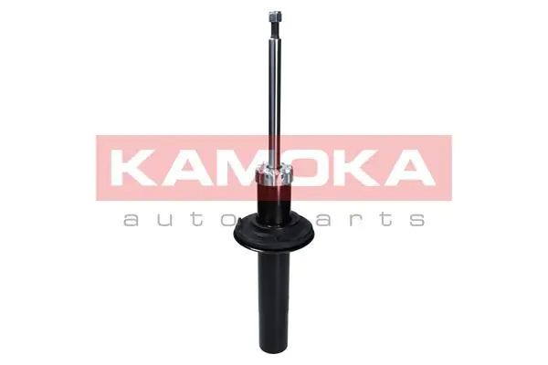 Shock Absorber 2000647