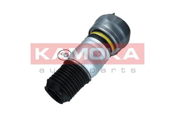 Air Spring, suspension 2079064