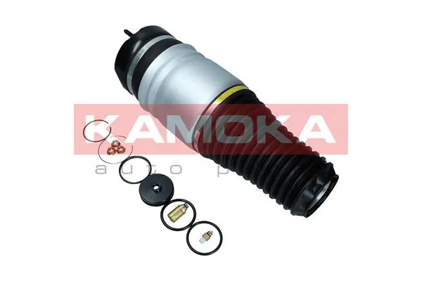 Air Spring, suspension 2079027