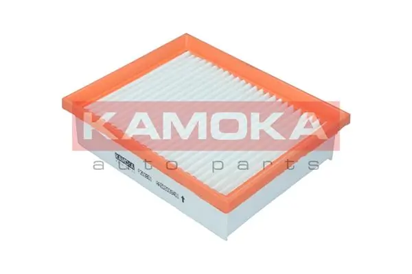 Air Filter F253801
