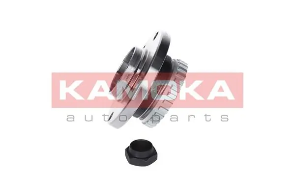 Wheel Bearing Kit 5500014