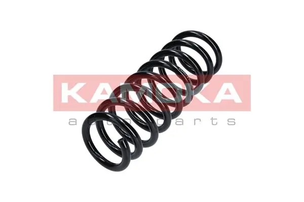 Suspension Spring 2120276