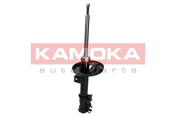 Shock Absorber 2000145