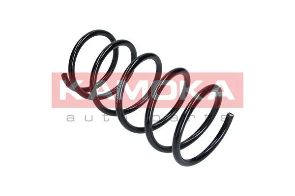 Suspension Spring 2110275