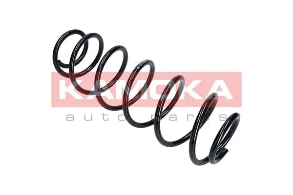 Suspension Spring 2120207