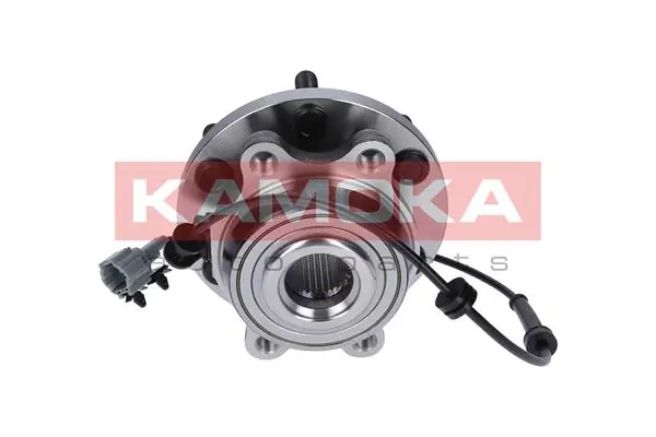 Wheel Bearing Kit 5500134
