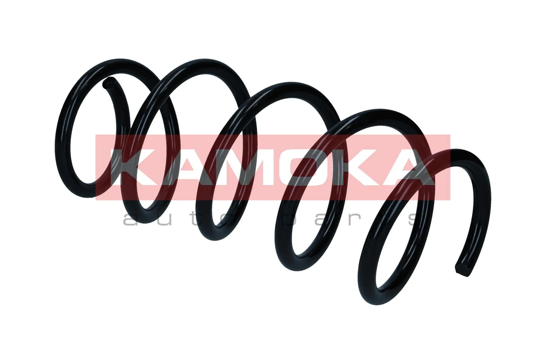 Suspension Spring 2110877