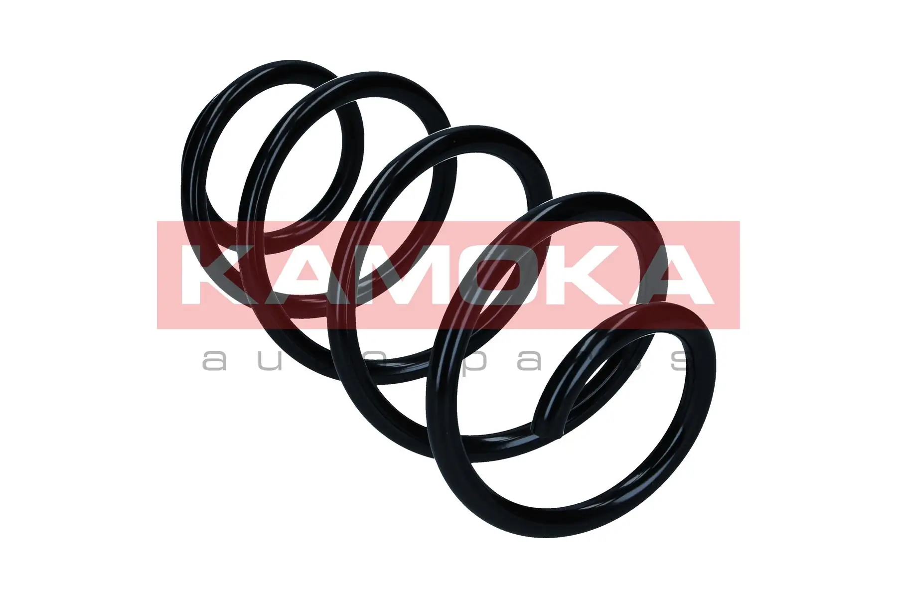 Suspension Spring 2110751