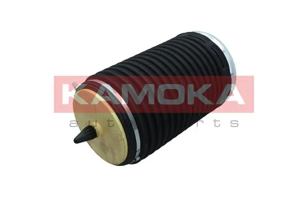 Air Spring, suspension 2079004