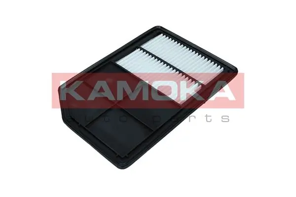 Air Filter F260101