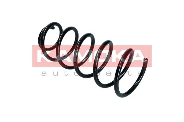 Suspension Spring 2110077