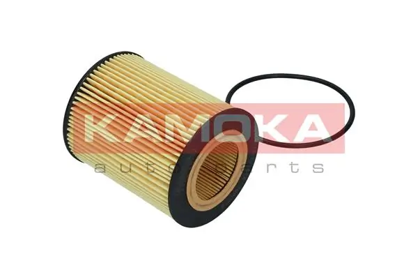 Oil Filter F120001