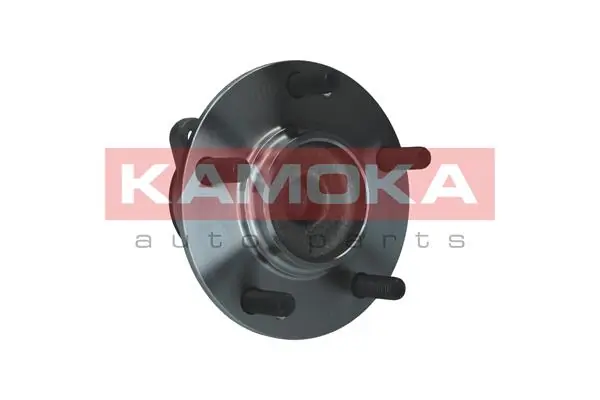 Wheel Bearing Kit 5500270