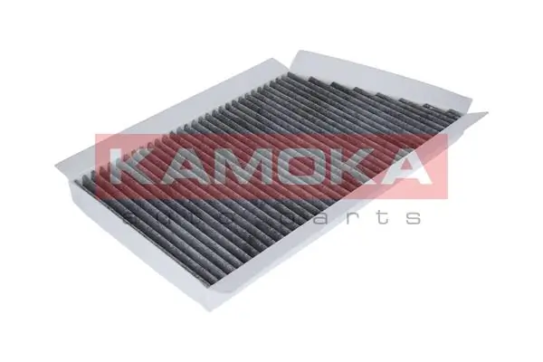 Filter, cabin air F502601