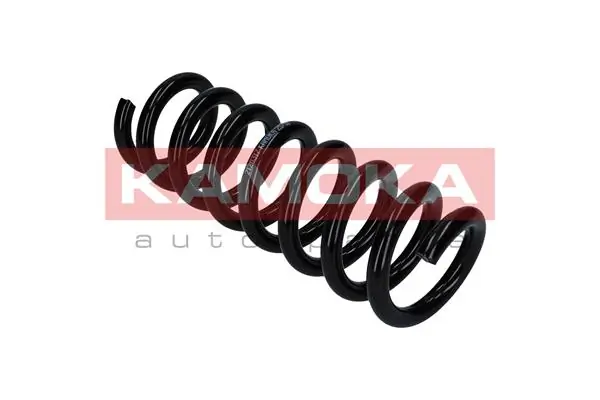 Suspension Spring 2120317