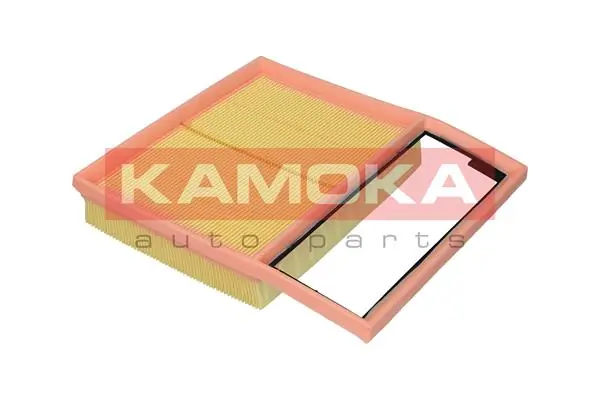 Air Filter F252901