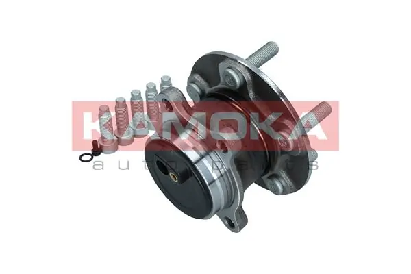Wheel Bearing Kit 5500242