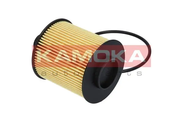 Oil Filter F111801