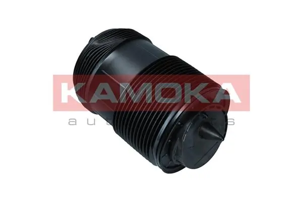 Air Spring, suspension 2079014
