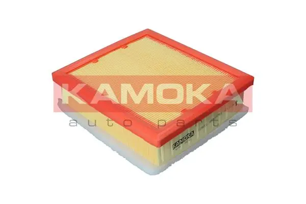 Air Filter F238001