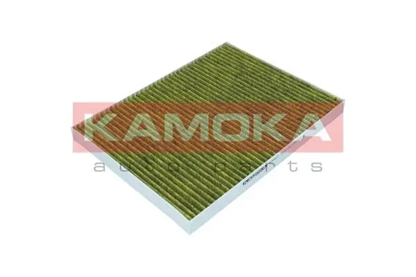 Filter, cabin air 6080037